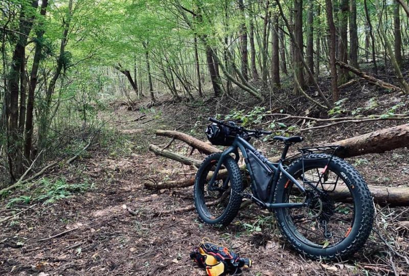 グリム 冒険 の 森 自転車 レンタル