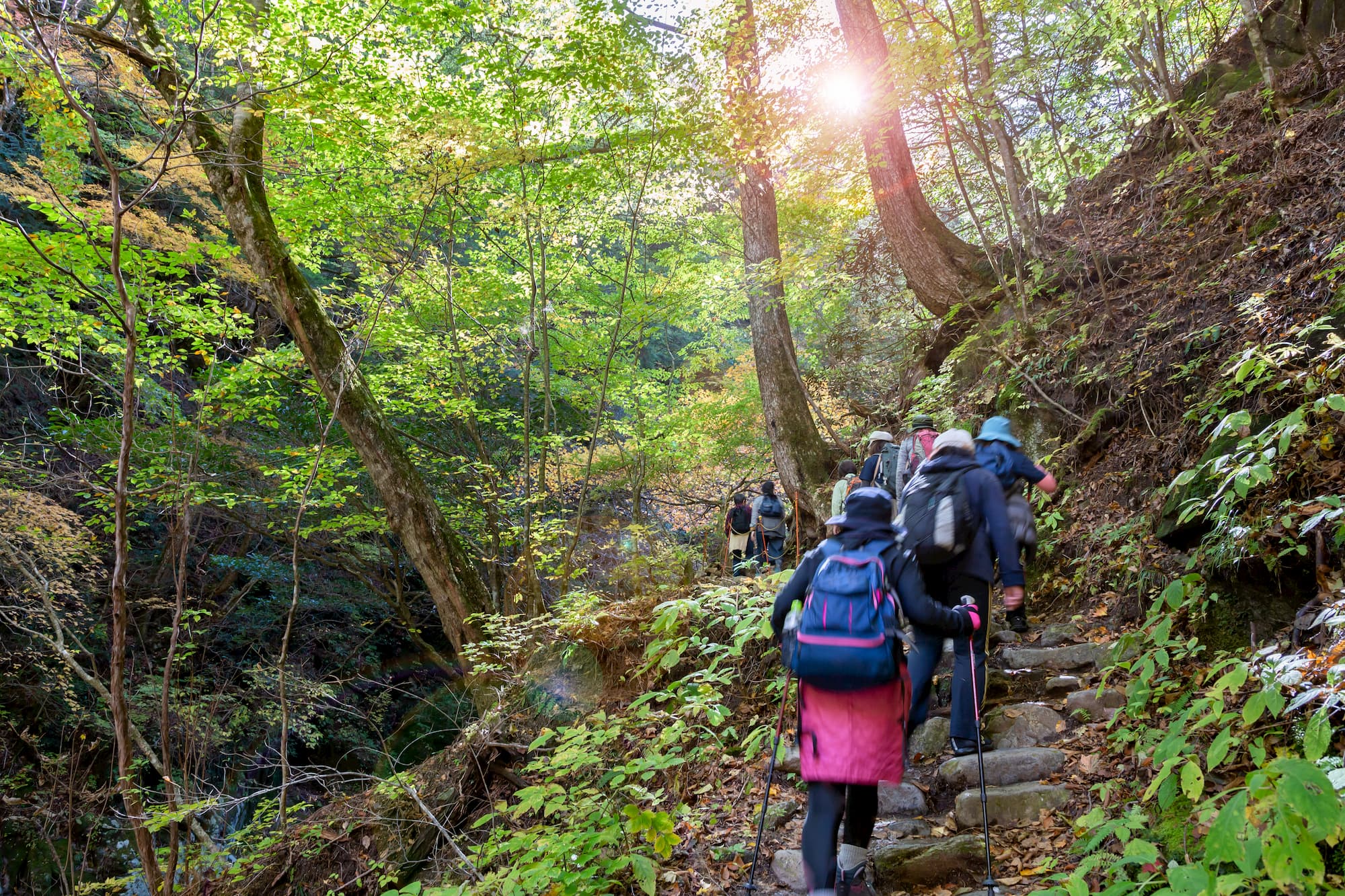 【初心者編】登山で疲れにくい山の歩き方を上り〜下りまで解説 | 【公式】mt.inn(マウントイン)〜チャレンジのキッカケをつくり続ける温泉宿〜
